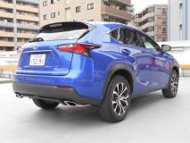 LEXUS NX 2015