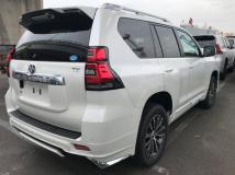 TOYOTA LAND CRUISER PRADO 2019