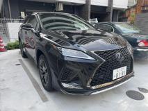 LEXUS RX 2022