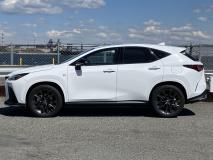 LEXUS NX 2022