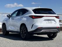 LEXUS NX 2022