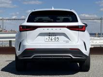 LEXUS NX 2022