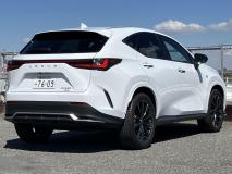 LEXUS NX 2022