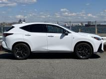 LEXUS NX 2022