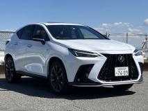 LEXUS NX 2022