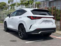LEXUS LEXUS NX 2023