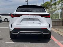 LEXUS LEXUS NX 2023