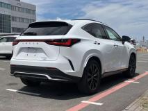 LEXUS LEXUS NX 2023