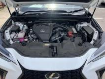 LEXUS LEXUS NX 2023
