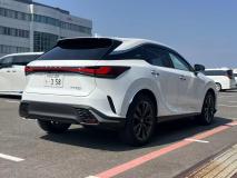 LEXUS RX 2024
