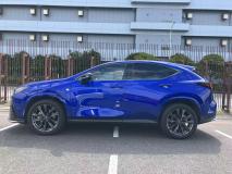 LEXUS LEXUS NX 2023