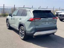 TOYOTA RAV4 2019